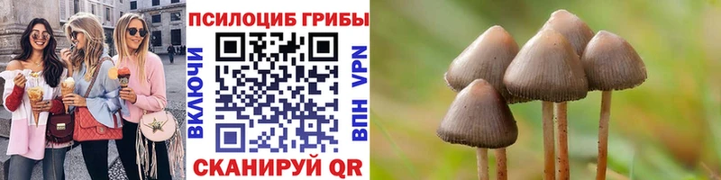 Псилоцибиновые грибы прущие грибы Купить закладки Томмот